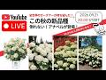 9/21日（月）20時〜Live販売！【断言！】今後はこれが世界のスタンダードになります！！
