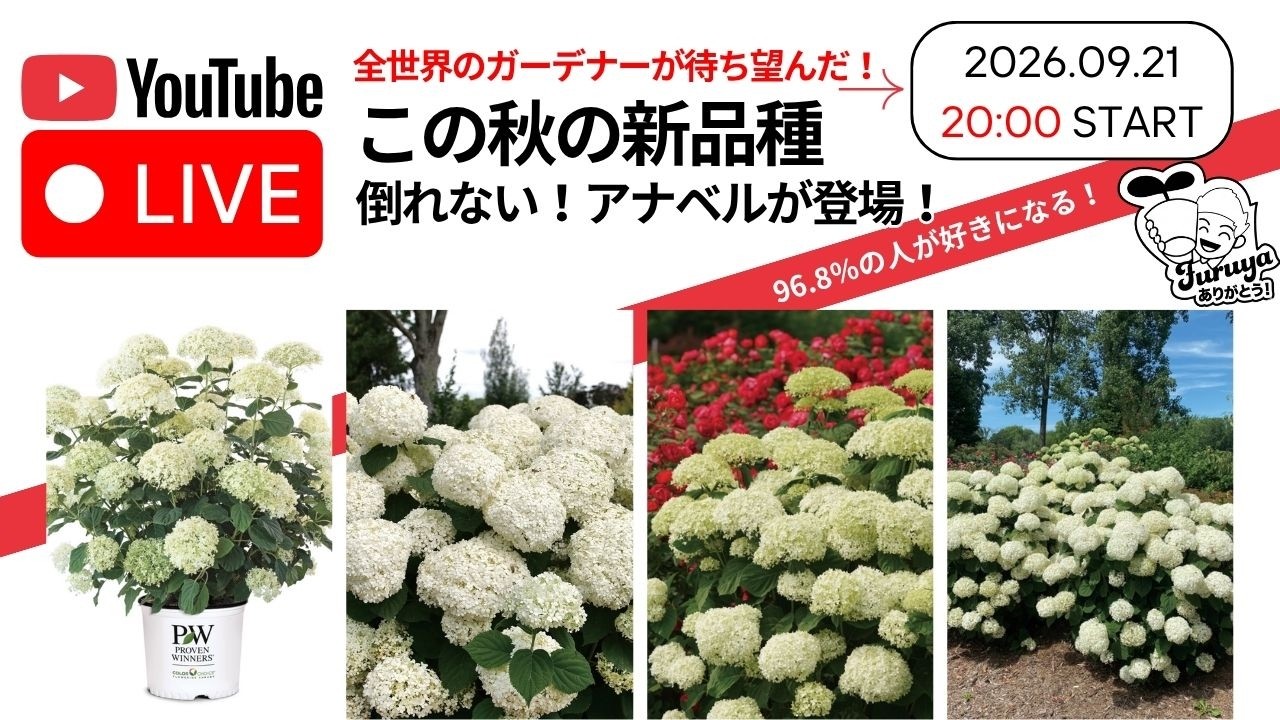 9/21日（月）20時〜Live販売！【断言！】今後はこれが世界のスタンダードになります！！