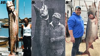 Celebrity The 10 BIGGEST FRESHWATER Fish Ever Caught Wealth