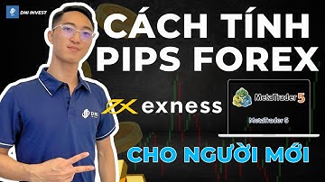 Hướng dẫn cách tính pips cho các cặp tiền tệ, vàng và bitcoin trên MT5 Exness - Đơn giản và dễ hiểu