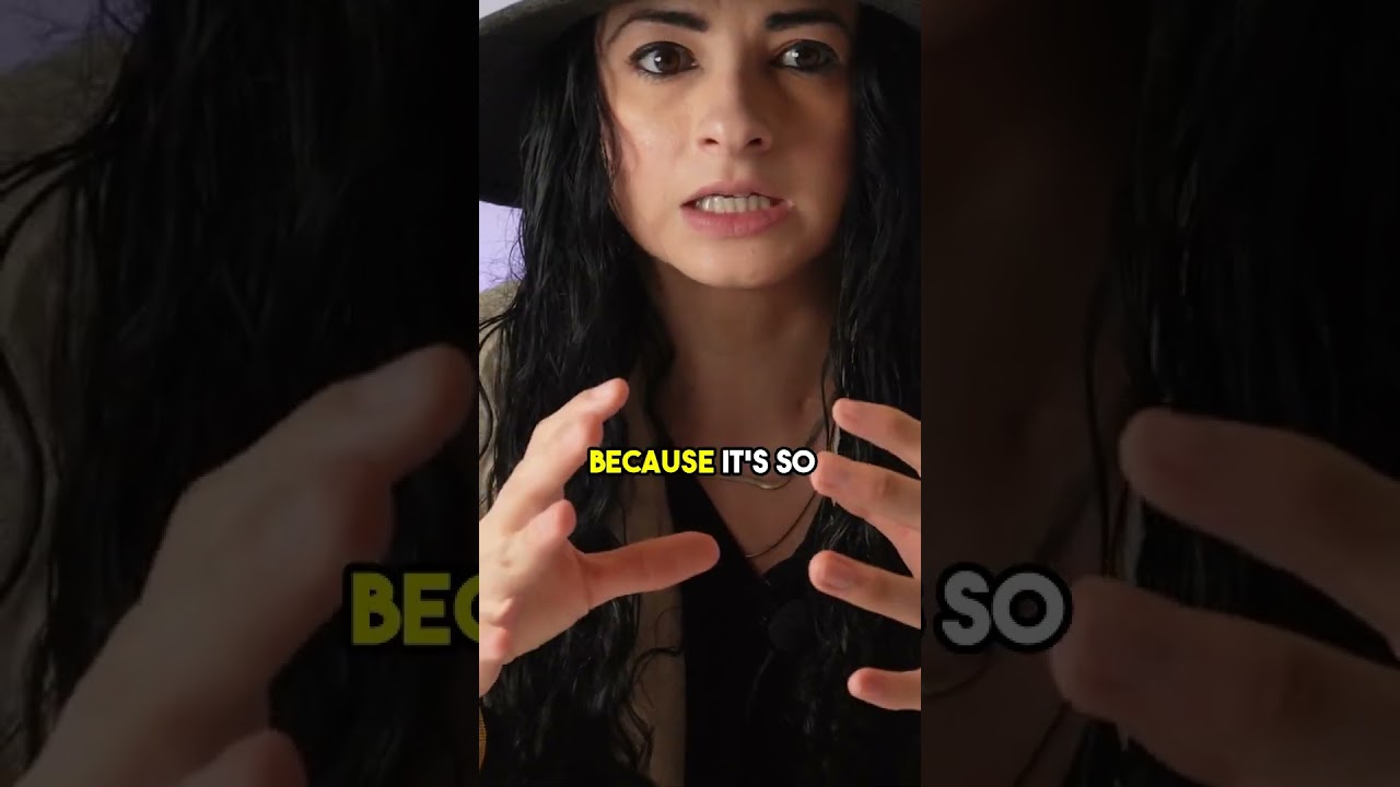 NYC's most serene neighborhood- Battery Park City 