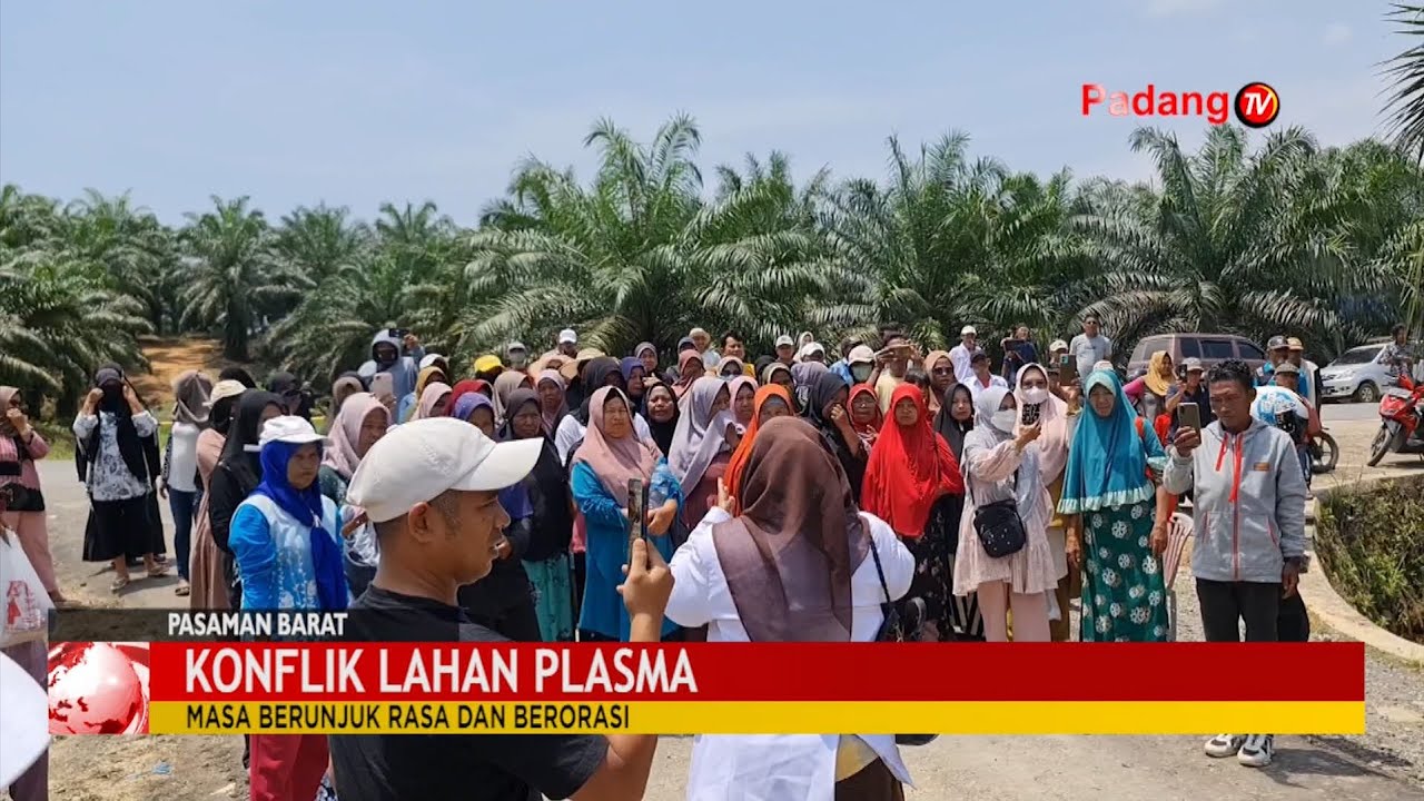 Ratusan Masyarakat Air Bangis Pasaman Barat Berunjuk Rasa Di Lahan Plasma KSU Air Bangis Semesta