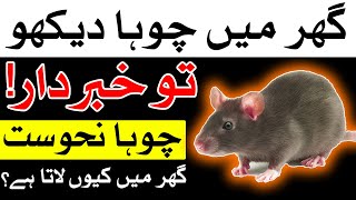 chuha ghar mein aane se kya hota hai | chuha ghar se bhagane ka tarika | Rat چوہا mouse Mehrban Ali