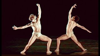 Contemporary & Ballet Male Dancers XIV - COFL