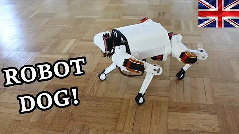 DIY Quadruped Robot - How Does It Work? - DayDayNews