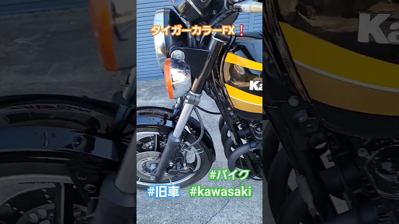 【未開封品】ふし自慢 塗るタイプ（旧パッケージ） 4本 Ninja ZX-4R 2025年モデルBIKETOBER FESTAでも予約受付中