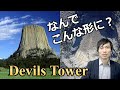 よく見ると異常なデビルスタワーの特徴