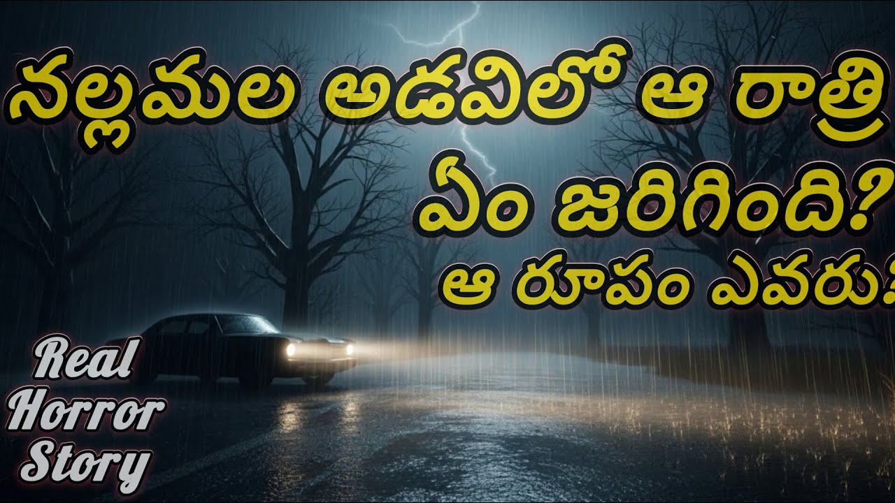 నల్లమల అడవిలో ఆ రాత్రి ఏం జరిగింది? ఆ రూపం ఎవరు?NALLAMALA-REAL HORROR STORY IN TELUGU|TELUGU KATHALU