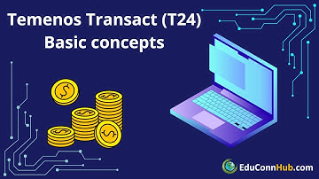 2. Temenos Transact (T24) Basic Concepts