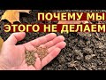 Что МОЖНО посеять, посадить осенью?