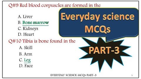 General Science MCQs|| Everyday Science MCQs|| JEST PST Science MCQs||Test Preparation||