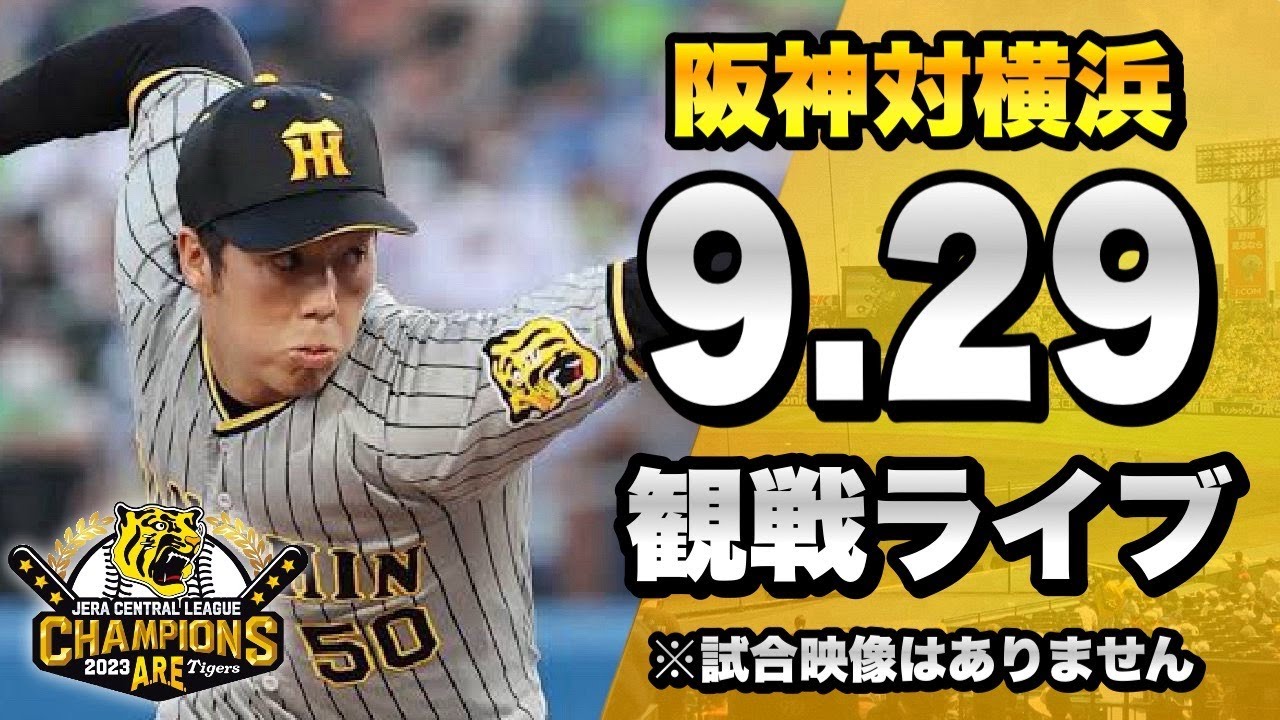 横浜DeNAベイスターズvs阪神タイガース チケット☆良席