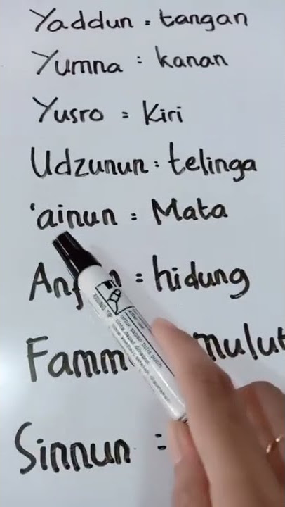 ANGGOTA TUBUH DALAM BAHASA ARAB