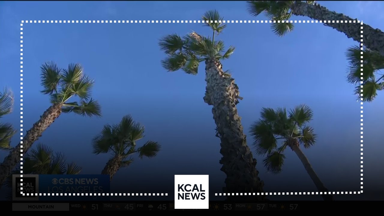 Inland Empire residents bracing for powerful Santa Ana winds