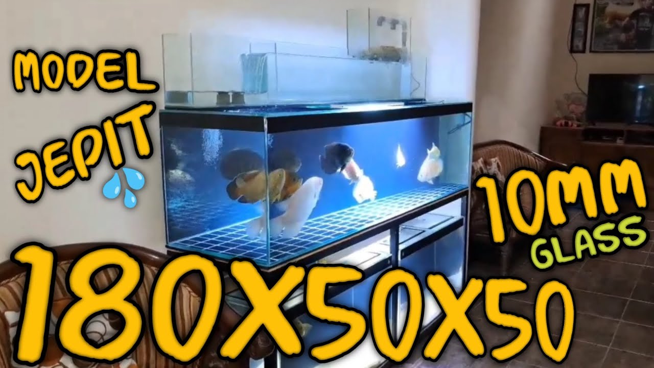 PROSES PEMBUATAN AQUARIUM 180X50X50❗TEBAL KACA 10MM
