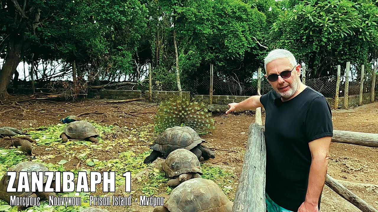 Oι ΕΙΚΟΝΕΣ με τον Τάσο Δούση ταξιδεύουν στη Ζανζιβάρη - Μέρος 1ο