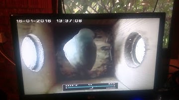 Robin checking out nestbox