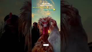 Eid-Ul-Adha Mubarak To All My Muslims Subscriber A.h Status