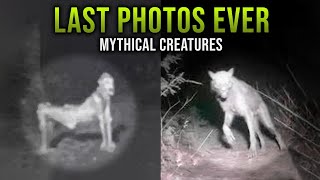 7 Recent Photos Of MYTHICAL CREATURES