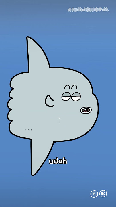 Download lagu IKAN MOLA MAU DIMAKAN IKAN HIU