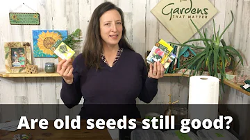 Jak poznáte, zda jsou stará semena ještě dobrá?