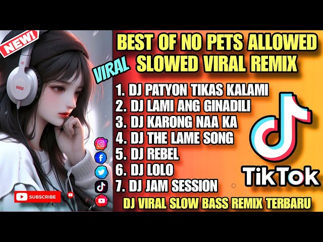 BEST OF NO PETS ALLOWED TIKTOK SLOWED VIRAL - DJ VIRAL FULL BASS ANALOG RMX 2024 | class=