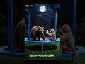 Monkey Black Bear On Trampoline In Backyard Trending Cat Viralshorts Indiashortsfeed Monkey Black Bear On Trampoline In Backyard Trending Cat Viralshorts Indiashortsfeed