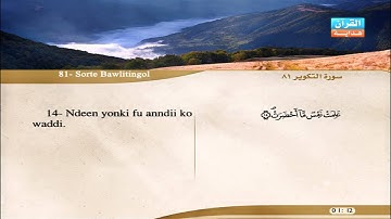81 | Simoore  At-Takwiir | Aloyoon Al-Koshi | سورة التكوير | العيون الكوشي