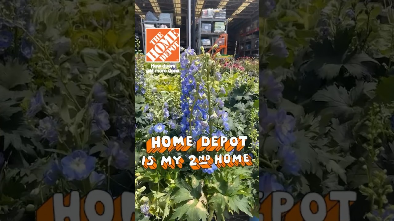 Home Depot  Savings and shopping spree Great flower display 🥀 