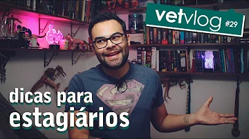 Quanto ganha um estagiário em medicina veterinária?