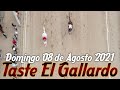Carreras de Caballos en Agua Prieta, Sonora 08 de Agosto 2021
