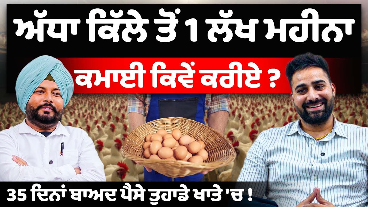 ਅੱਧਾ ਕਿੱਲੇ ਤੋਂ 1 Lakh Monthly Income Business ਕਿਵੇਂ ਕਰੀਏ ? Punjab Poultry Farming Business | Farming