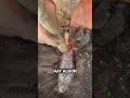 Uno De Los Últimos Reparadores De Ollas 🥹