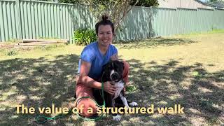 Explaining the Value of the Structured Walk News