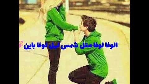 اجمل حالات واتس اب (نجوى كرم. أمنتُ قلبي عندَكُم  )💝لايك اذا اعجبك لفيديو