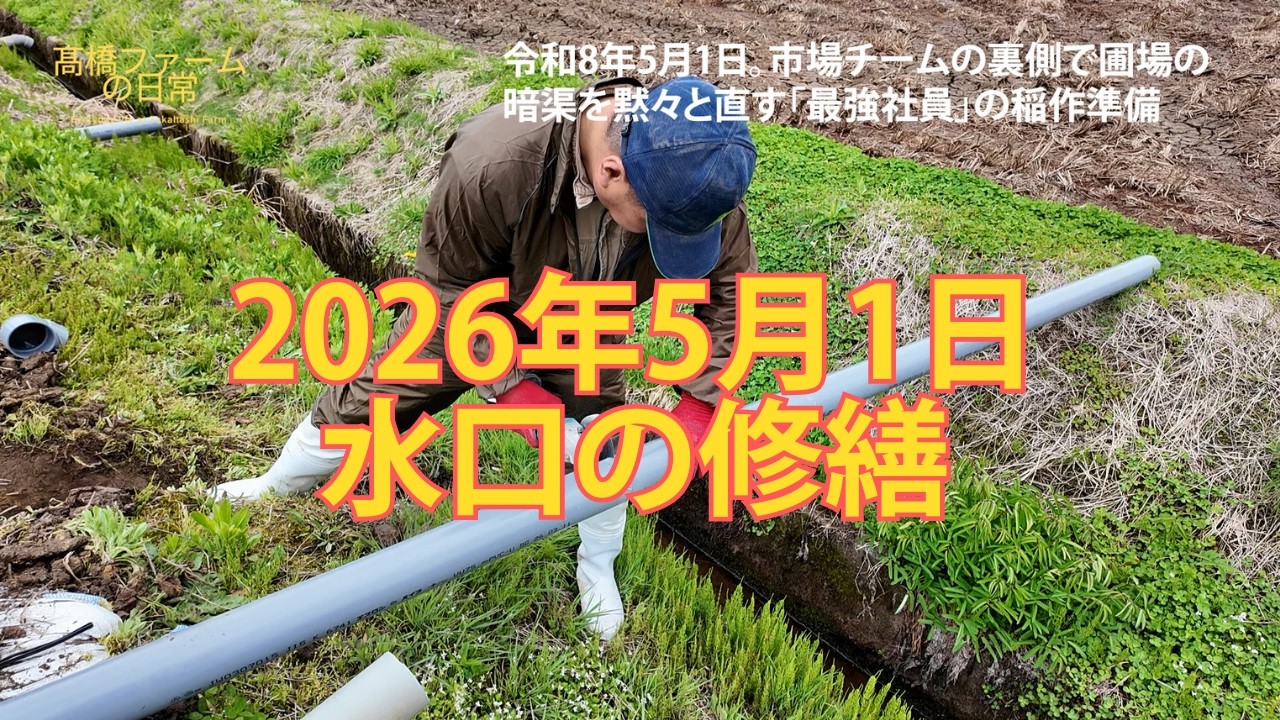 作業】田んぼの排水パイプの修繕「髙橋ファーム」の日常 - YouTube