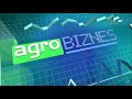Agrobiznes TVP1 Audio Opener HD