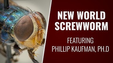 What is the New World screwworm?