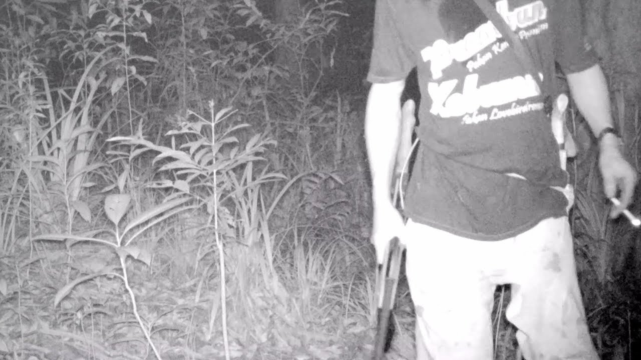 UN HOMME ARMÉ A KALAWEIT !!! [Poacher in our reserve !]