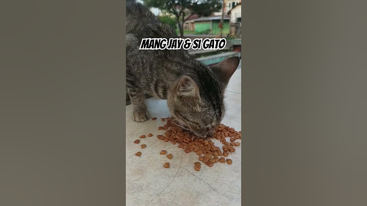 #cat #cats #catlovers #catvideos #catshorts #pet #pets #kucing #kucinglucu #gatos #meow #kucinglucu