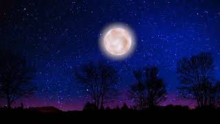 Moonrise & Sky Stars Falling Animation in Night Beautiful Video Background HD