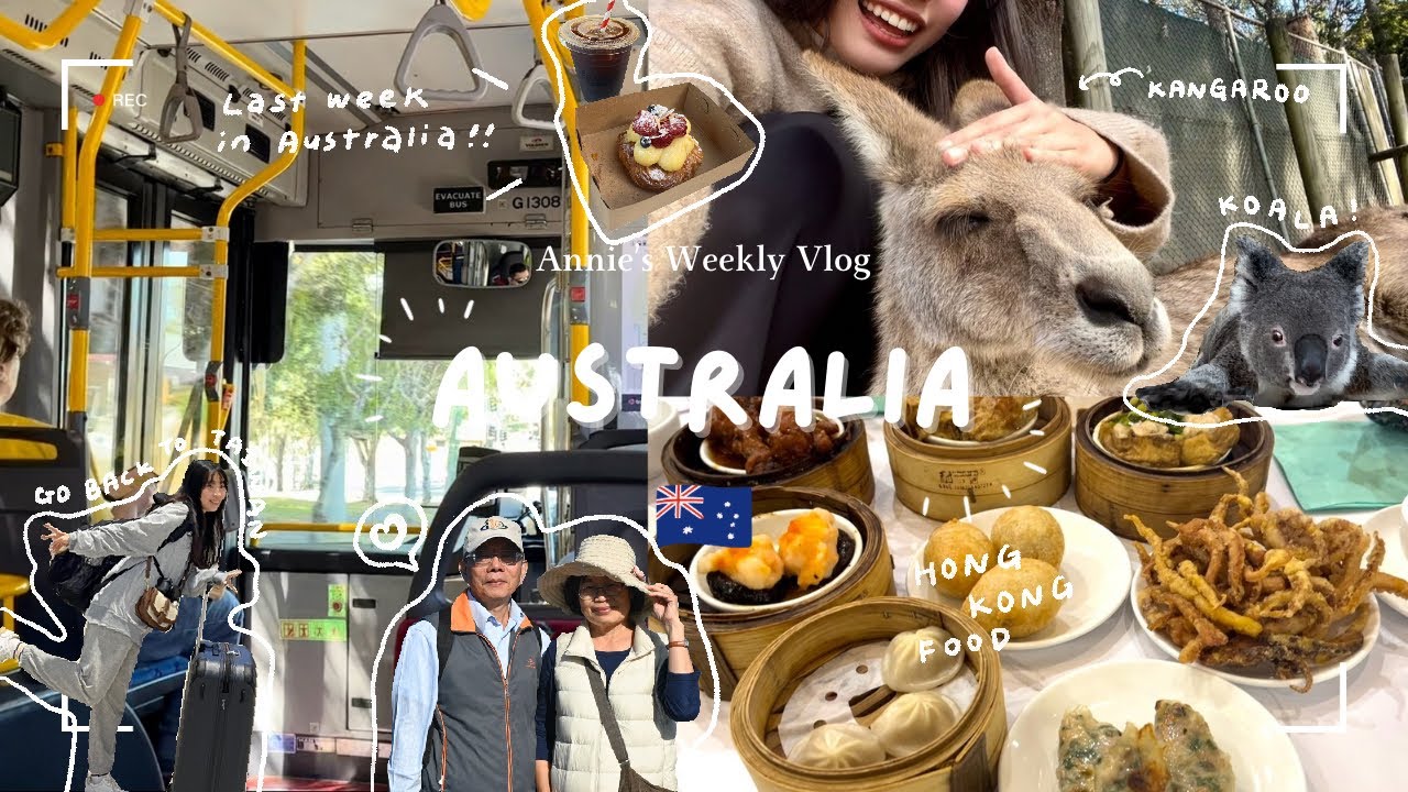 𝐀𝐮𝐬𝐭𝐫𝐚𝐥𝐢𝐚 𝐕𝐥𝐨𝐠🇦🇺｜在布里斯本的最後一支影片🍿！/充滿無尾熊跟袋鼠的動物園🐨/自己嘗試了新的咖啡廳🍓🍰/黃金海岸的海鮮大餐🦀🦐/澳洲伴手禮買什麼？🐑🌷