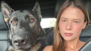 She Adopted the Shepherd Nobody Wanted—What He Did at 319AM Shocked Everyone