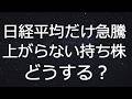 【株式投資】日経平均が上昇しているのに個別株が下がる理由│今後の個別株はどう動く？｜NT倍率と資金シフトの本質を解説