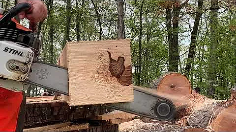 STIHL EXTREME Modified MS661 Chainsaw Shootout - Ported with Stroker Crank vs. Ported with Nitrous