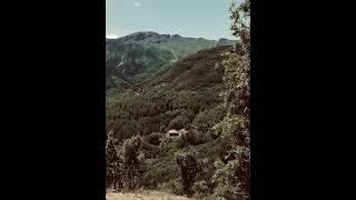 KADRİ KARAGÖZ- Çae Berbena