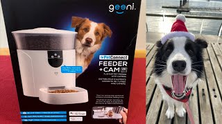 Geeni Pet Connect Feeder with Camera (Unboxing and Setup)