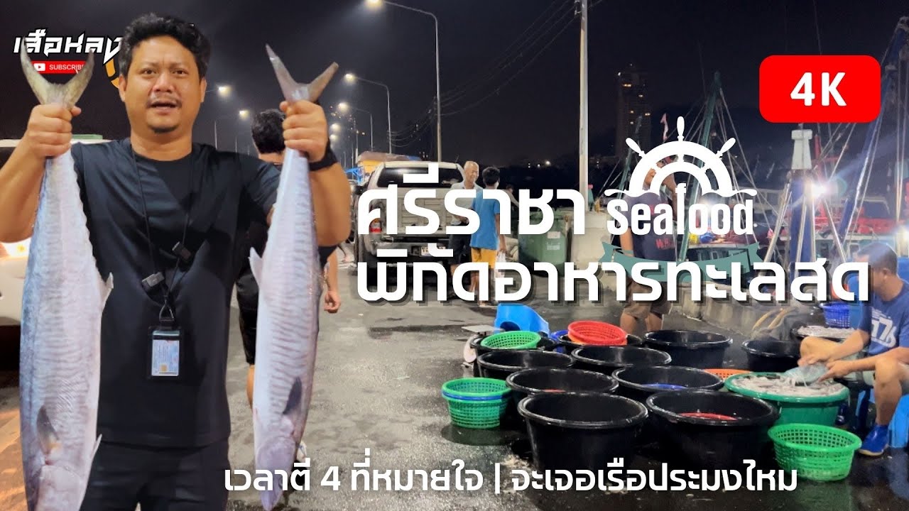 สะพานปลาศรีราชา | พิกัดอาหารทะเลสดเสริฟจากเรือ | รอบนี้จะทันเรือประมงไหมในเวลาตี 4