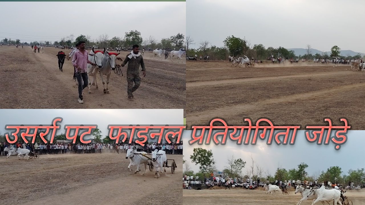 #naadekchfaktbailgadasharyat #bailgadasharyat उसर्रा पट फाइनल प्रतियोगिता जोड़े