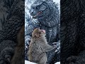 the big Godzilla friendship is monkey #animalshorts #godzilla #monkeyvideo#viralvideo #